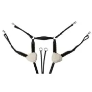 Jeremy and Lord 5 Point Breastplate Black [Size: Full]