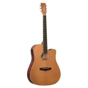 Tanglewood TWPRO5-CE-NA Winterleaf Pro Dreadnought Acoustic Electric w/ Cutaway