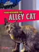 Your Neighbor the Alley Cat