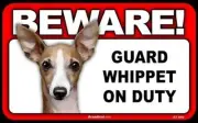 Beware Guard Dog On Duty Sign - Whippet (8” X 5”)