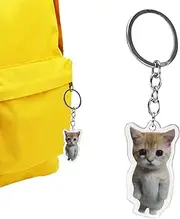 Keychain Charm - Unique Cute Crying Sounds Making Key Tags,Funny Creative 2D Acrylic Mobile Phone Chain with Lanyard for Purse Wallet, School Bag Decoration Puchen