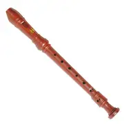 NEW Steinhoff 'Wood-Look' Recorder for Kids with Cleaning Rod and Case