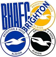 Desert Cactus Brighton & Hove Albion Sticker BHAFC Seagulls Football Club Decal Vinyl Laptop Water Bottle Car Scrapbook Official Fan Gear T2 (Type 2-1)