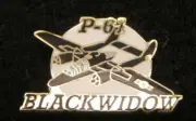 P-61 BLACK WIDOW HAT LAPEL PIN US ARMY AIR CORPS AIR FORCE WORLD WAR WW 2 WING 1