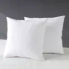 Organic 16X16 Feather down Throw Pillow Inserts Set of 2, 100% Cotton Fabric, So