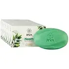 2x Jiva Ayurveda Neem Soap (100g) with free shipping