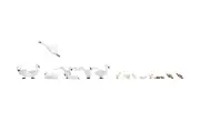 Noch 15774 HO/OO Gauge - Swans (8) and Ducks (8) Figure Set for Scenery BNIP