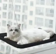 Cat Bed Window Hammock Perch Raised Resting Post Space Saving Sun Bath Black