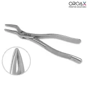 Dental Upper Root & Incisors Forceps Fig 65 – Professional Extraction Tool