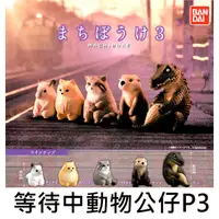 在飛比找蝦皮購物優惠-等待中動物 公仔 P3 扭蛋 轉蛋 模型 等待動物 等候動物