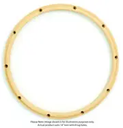 Gibraltar 14"/8 Lug Snare Batter Side Wood Hoop (Pk-1)