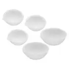 5 Pcs Crucible Ceramic Crucible Bowl Dish Cup 100g 250g