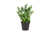Willow & Silk Indoor Eucalyptus Plant w/ Pot Faux/Artificial Home Decor 27cm