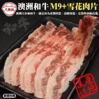 在飛比找Yahoo奇摩購物中心優惠-(滿額)【頌肉肉】澳洲日本種M9+熟成雪花牛肉片(每盒約10