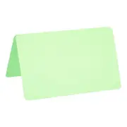 Blank Greeting Cards,100Pcs Favor Decor Foldable Card ,Light Green Card Paper