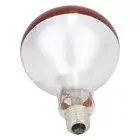 Infrared Flood Reflector Bulb 250W Glass Chicks Heat Lamp Bulb Red 220V Durable