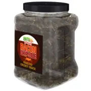 Bacon Chipotle Flavored Cricket Snack - Pound Size | Edible Insects, Bugs