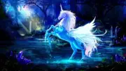 Fantasy Unicorn Abstract home decor Art Painting Canvas