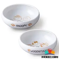 在飛比找蝦皮商城精選優惠-【日本熱賣】日本製 SNOOPY陶瓷餐盤 2入 史奴比 咖哩