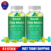 2Packs Sea Moss Gummies Irish sea Moss,Bladderwrack Immue Digestion Health
