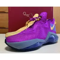 在飛比找Yahoo!奇摩拍賣優惠-Nike Lebron Soldier 14 EP 士兵 紫