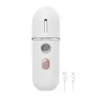 20ml/30ml Face Steamer Convenient Hydrate Facial Cleaning Introducer Device Hand