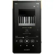Sony NW-ZX707 Walkman High-Resolution Sound WALKMAN ZX series 64GB Japan
