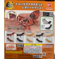 在飛比找蝦皮購物優惠-全新現貨 Bandai 生物大圖鑑 細皮瘤尾守宮與豹紋守宮 