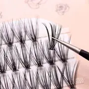 Lashie - Natural Crisscross Cluster False Eyelashes 20D - Black - 1.2cm