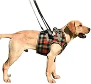 Dog Lift Harness, Grid Pet Chest Support Aid Veterinarian Approved Sling for Help with Poor Stability, Front Legs Disabled Joint Injury Elderly Arthritis ACL Rehabilitation Rehab (Chest-Blue, L)