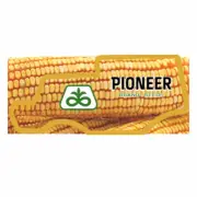 Pioneer Decal Only Corn for 1/64 Case IH 9250 Combine *DECAL ONLY*