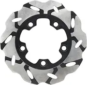 BWPEXZ Compatible With SV650 SV650S SV1000 SV1000S TL1000R GSX-R1100 GSX-R600 GSX-R750 GSX-R1000 Motorcycle Brake Discs