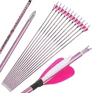 31inch Pure Carbon Arrow Spine 400-1000 Targeting Practice Hunting Arrows Straightness 0.06" for Compound & Recurve Bow (Pack of 6/12)