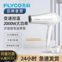 在飛比找Yahoo!奇摩拍賣優惠-飛科吹風機家用大風力負離子2000w可摺疊吹風機