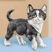 Realistic Detail Cute Black & White Tuxedo Kitten Cat Outdoor Garden Statue