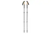 Black Diamond Alpine Carbon Cork S19 Trekking Poles