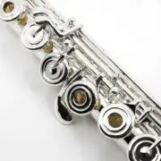 Flute-Amadeus by Haynes Model 680 - offset G, B foot Gizmo key Perfect step up