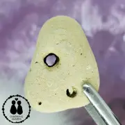HOLEY HAG STONE NATURAL SURF TUMBLED BEACH ROCK WISHING GOOD LUCK FAIRY #1782