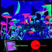 UV Tapestry, Fluorescent Tapestry, UV Reactive Backdrop, Blacklight Reactive