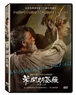 米開朗基羅:無盡之詩 DVD