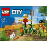 在飛比找蝦皮購物優惠-LEGO 樂高 Polybag 30590 農莊花園和稻草人