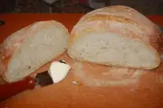 Gluten Free SOURDOUGH BREAD STARTER yeast San Francisco SAMMY plus recipes SAMMY