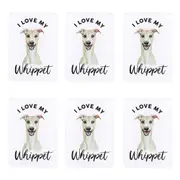 6x Splosh Pet Lovers Whippet 7cm Acrylic Magnet Home/Kitchen Fridge Decor White