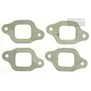 Platinum Extractor Gasket - HSM321
