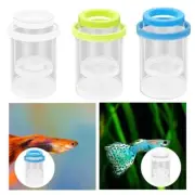 Floating Fish Isolation Box Aquarium Breeder Feeder for Clownfish Guppy Fry AUS
