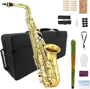 WUQIMUSC Alto Saxophone Beginner Kit for Adults, Student Saxophone Eb, Professional Brass Saxophones Instrument with Sax Case, Mouthpiece, Reeds, Gloves, Cleaning Cloth & Brush (Gold)