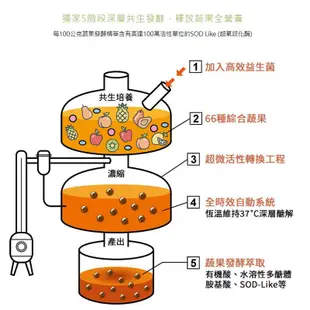 大研生醫 順暢酵素益生菌粉包(30包/盒)原廠公司貨 唯康藥局