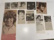 BOBBY BRADY THE BRADY BUNCH MIKE LOOKINLAND CLIPPINGS