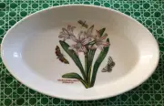 Portmeirion Botanic Garden AMARYLLIS BELLADONNA LILY 11" Oval Baking Dish ---NWT