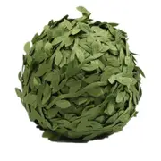 Cloth Leaf Garland Decoration Accessories Green Leaf Cane Leaf Simulation DIY Garland Material